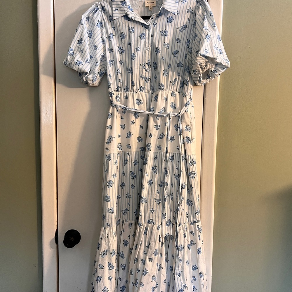 Peach Love California Blue Floral Striped Shirt Dress
